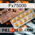 Fx75000 41